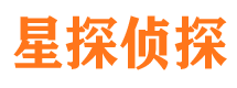 洛龙侦探社